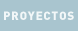 Dirección de Proyectos